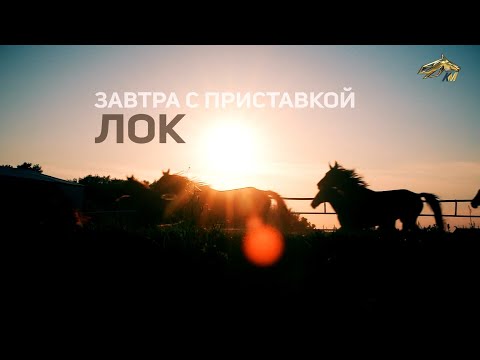 Видео: PRO_Лошадей. Завтра с приставкой ЛОК. 19 сентября 2021 года. 18:00