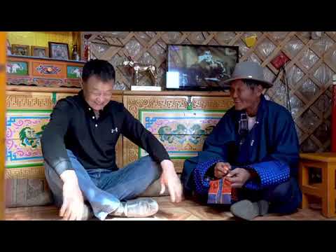 Видео: гүйдэл морь