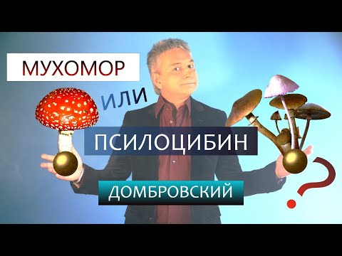Видео: МУХОМОР или ПСИЛОЦИБИН? Размышления.