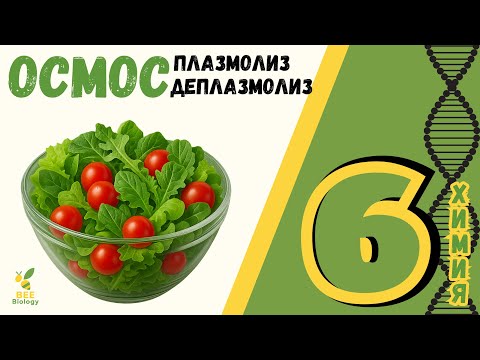 Видео: Плазмолиз, деплазмолиз, гемолиз - процесс осмоса