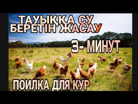 Видео: ТАУЫҚҚА СУ ҚҰЯТЫН ЖАСАУ ӨТЕ ОҢАЙ ЖОЛЫ/ АВТОПОИЛКА ДЛЯ КУР ЗА 3-МИН