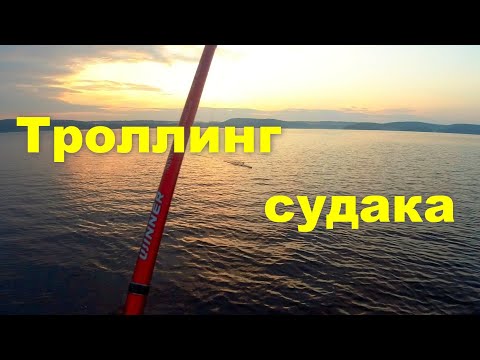 Видео: Троллинг судака.  Методика подбора приманок на каждой конкретной рыбалке.