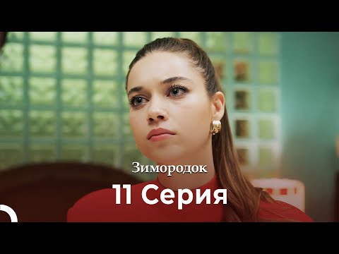 Видео: Зимородок 11 Cерия (Русский дубляж) (4K)