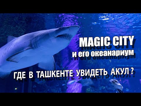 Видео: ГДЕ В ТАШКЕНТЕ УВИДЕТЬ АКУЛ ?: НЕВЕРОЯТНЫЙ ОКЕАНАРИУМ В MAGIC CITY.