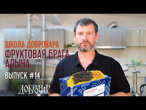 Видео: Фруктовая брага - Алыча - Школа Добровара #14