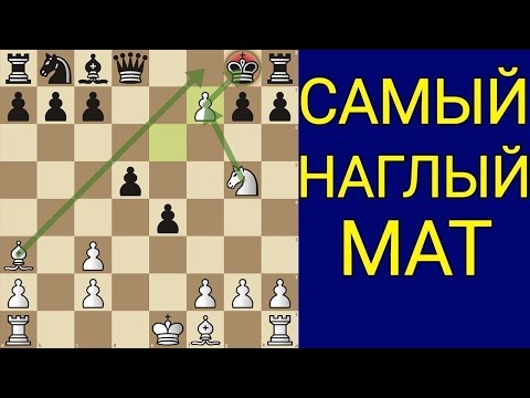 Видео: ЭТА ЛОВУШКА ПРИНЕСЁТ ВАМ +300 РЕЙТИНГА. Шахматы ловушки