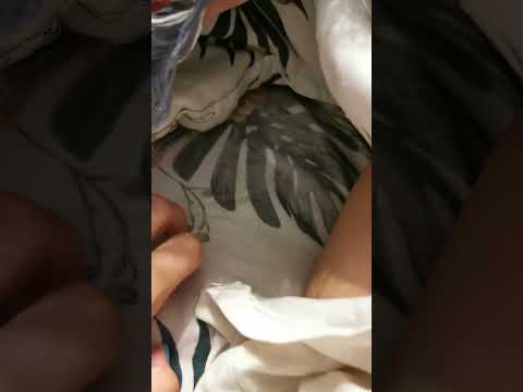 Видео: Диего кажется уже обжился #пасюк #полупасюк #декоративнаякрыса #крыса 