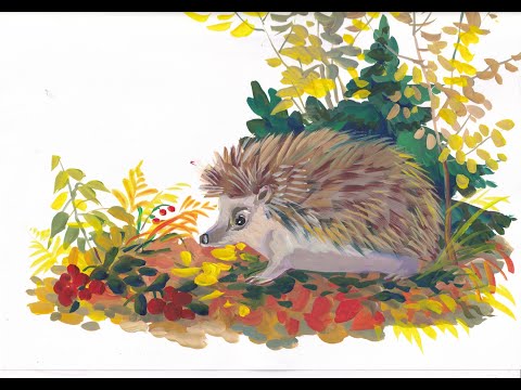 Видео: Ежик. Композиция-фрагмент