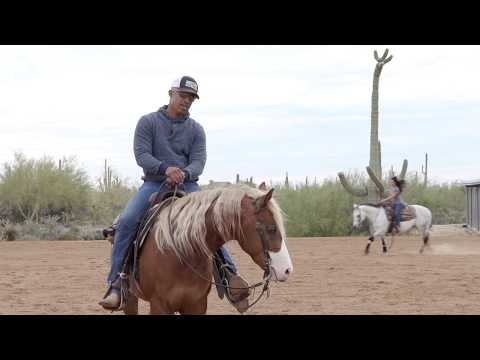 Видео: КАК ЗАСТАВИТЬ ЛОШАДЬ ЗАХОТЕТЬ НА МЕДЛЕННОМ БЕГЕ.