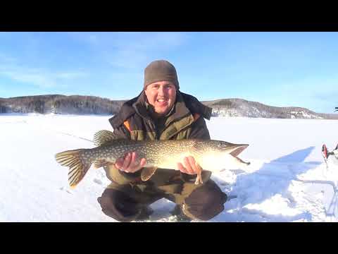 Видео: ВОТ ЭТО КРОКОДИЛЫ. РЫБАЛКА НА КВХ. 2 ЧАСТЬ.