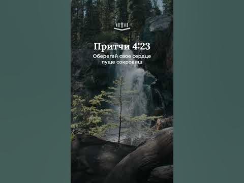 Видео: Притчи 4:23 современный перевод Библии #shorts