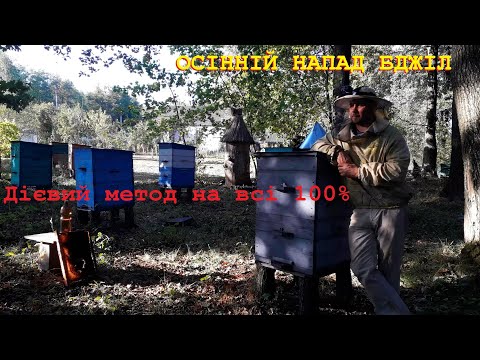 Видео: Як зупинити напад бджіл!!!