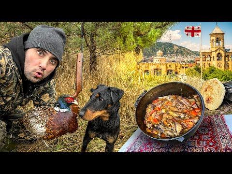 Видео: Охота с Тони на фазана. Фазан по Грузински Чахохбили