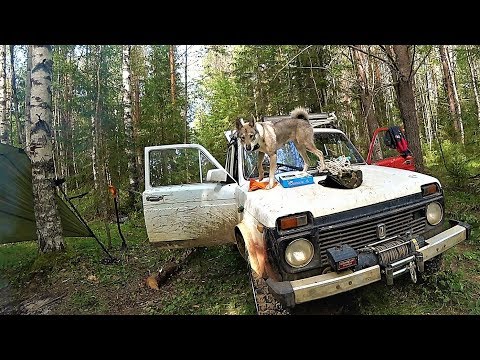 Видео: “ЖЕСТОКАЯ” ЭКСПЕДИЦИЯ! ЗИМНИК.. БОЛОТА..OFF ROAD! ГРУЗ С ТАЁЖНОГО УРОЧИЩА…