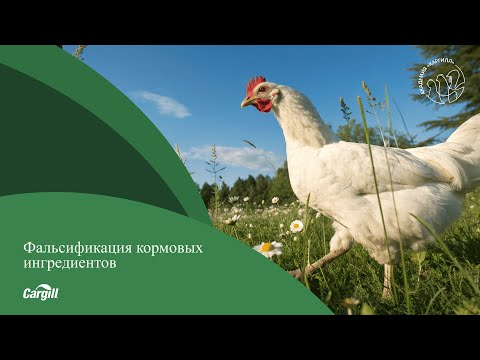 Видео: Фальсификация кормовых ингредиентов — насущная проблема в животноводстве и птицеводстве.
