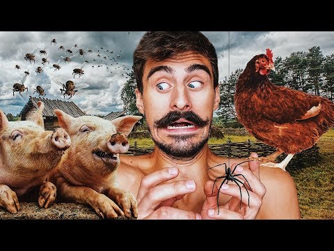 Видео: 24 ЧАСА В СЕЛЕ | ВЫЖИВАНИЕ