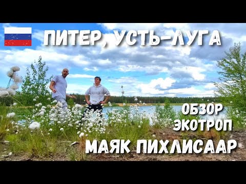 Видео: Ленобласть, Усть-Луга. Экотропа Выбья, Маяк Пихлисаар, Экотропа Большое Кузёмкино