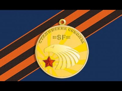 Видео: DCS голосовой чат