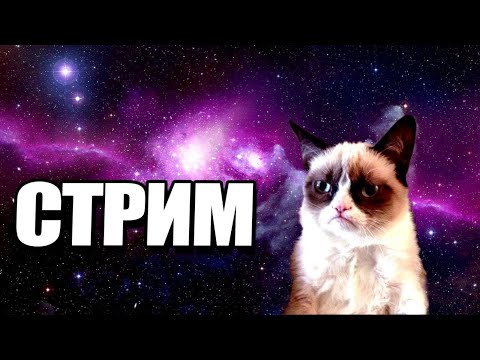 Видео: Прямая Трансляция от When fly