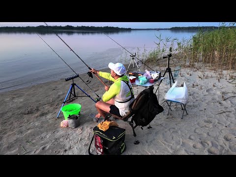 Видео: НА ТАКИХ ЛЯЩІВ І ГОРОХУ НЕ ШКОДА! Фідерна риболовля на Дніпрі