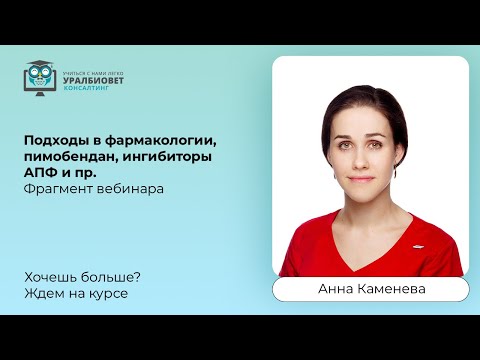 Видео: Фрагмент вебинара "Подходы в фармакологии, пимобендан, ингибиторы АПФ и пр." Лектор Анна Каменева