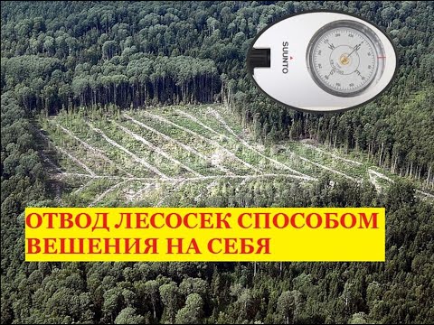 Видео: Отвод лесосек Вешение на себя_контурная съемка буссолью с навигатором Garmin64