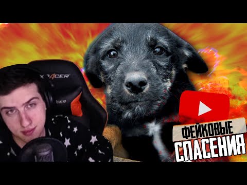Видео: Hellyeahplay смотрит: ФЕЙКОВЫЕ СПАСЕНИЯ ЖИВОТНЫХ