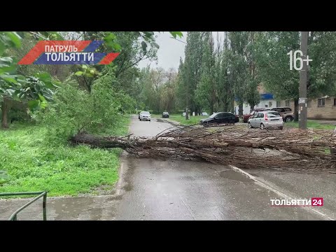 Видео: «Патруль Тольятти» 23.05.2025