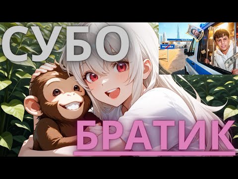 Видео: ГРИБ: ДУБАЙСКИЙ НЫТИК - СУБО