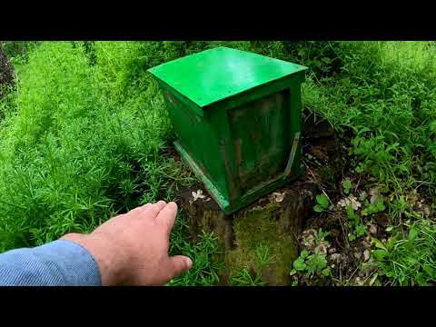 Видео: Хотите поймать много пчел,тогда вам сюда. Ловля роев