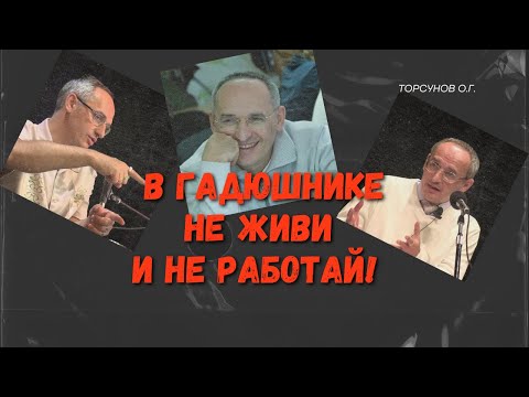 Видео: В гадюшнике не живи и не работай! Торсунов лекции