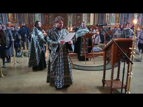 Видео: Днесь висит на Древе.. 11.04.21