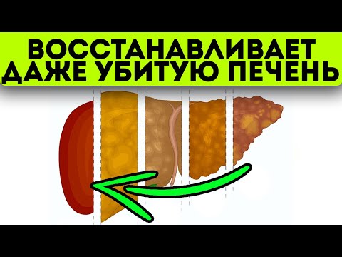Видео: Сколько можно молчать?! Даже после потери 2/3 здоровых клеток печень можно восстановить этим