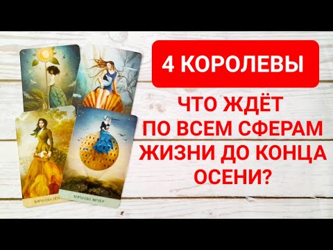 Видео: 4 КОРОЛЕВЫ: ВСЕ СФЕРЫ ЖИЗНИ ДО КОНЦА ОСЕНИ 