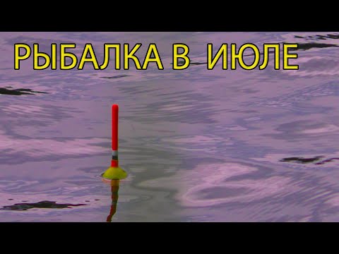 Видео: Поменял место и рыба поперла! Рыбалка на поплавок в июле 2022.