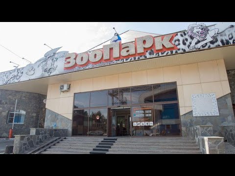 Видео: Челябинский зоопарк. Вечерний экспресс #animals #zoo
