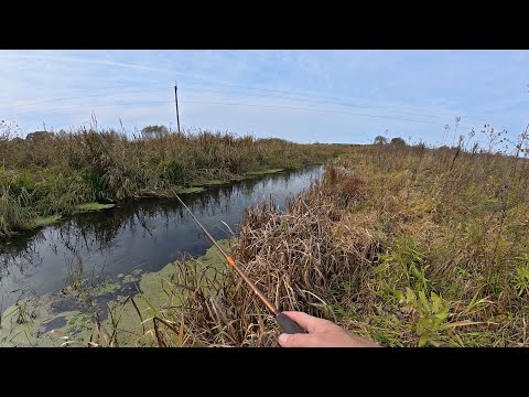 Видео: Ловля щуки в РУЧЬЕ на спиннинг. Рыбалка осенью 2025.