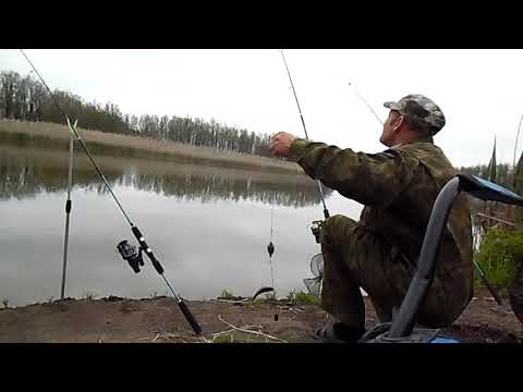 Видео: Рыбалка весной на кормаки (пружину). Охота на крупного карася.