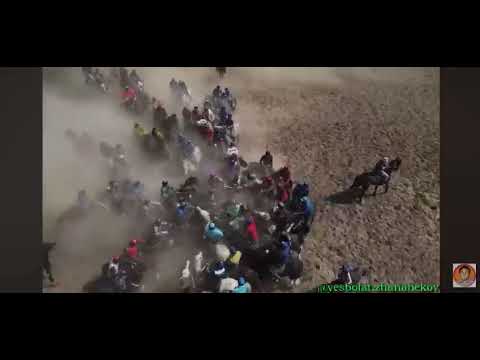 Видео: Сайрамдан Фархад мырзанын аттары 