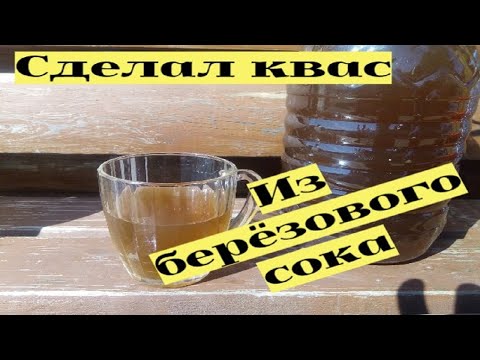 Видео: Сделал квас из березового сока. 3 рецепта #6