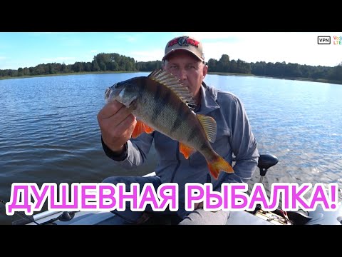Видео: Рыбалка на спиннинг// Поклёвки на камеру! 🎣
