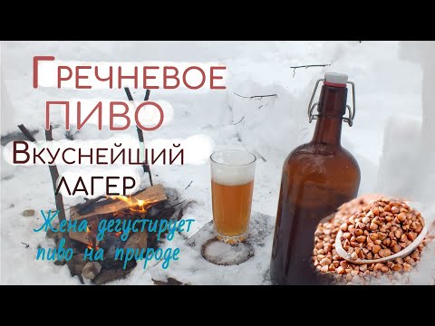 Видео: Варка домашнего пива. Гречишный Лагер. Играю на гитаре (cover) . Дегустируем пиво в шалаше  в лесу.