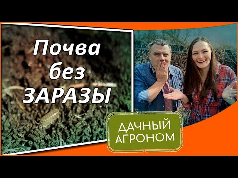 Видео: Осторожно! Обеззараживание почвы осенью! Как обеззаразить почву без проблем