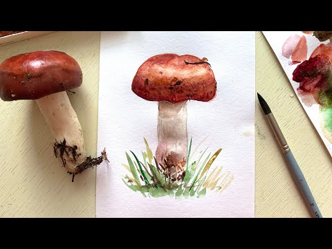 Видео: Сыроежка акварелью. Рисуем с натуры. Поэтапное рисование для начинающих онлайн