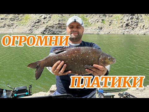Видео: ПЛАТИКИ НА ФИДЕР!