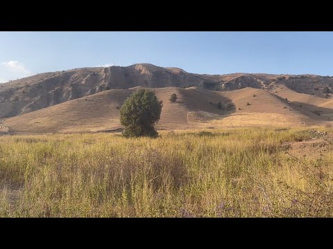 Видео: Сары жайык#акташ#чалка# узун#жылга
