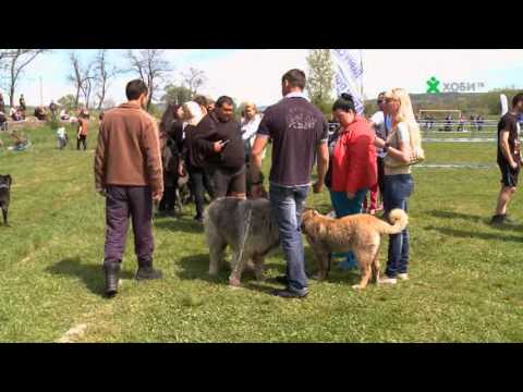 Видео: FCE Киноложка Изложба Батановци 2015