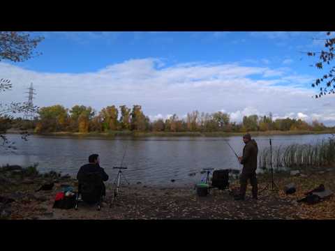 Видео: Провели БАТЛ на Дніпрі. Осінній фідер дає рибу?...#FishTrip #37