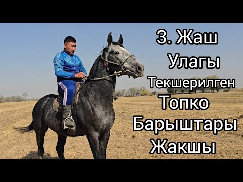 Видео: Бүгүн 2 ноября 2025 улагы текшерилген 3. Жаштагы Өспүрүм Сатуга чыкты#атбазар #жылкыбазар 