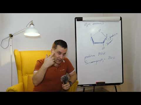 Видео: 9-ти клас. Урок №3. Част 3. Органична химия накратко. Въглехидрати. Липиди.